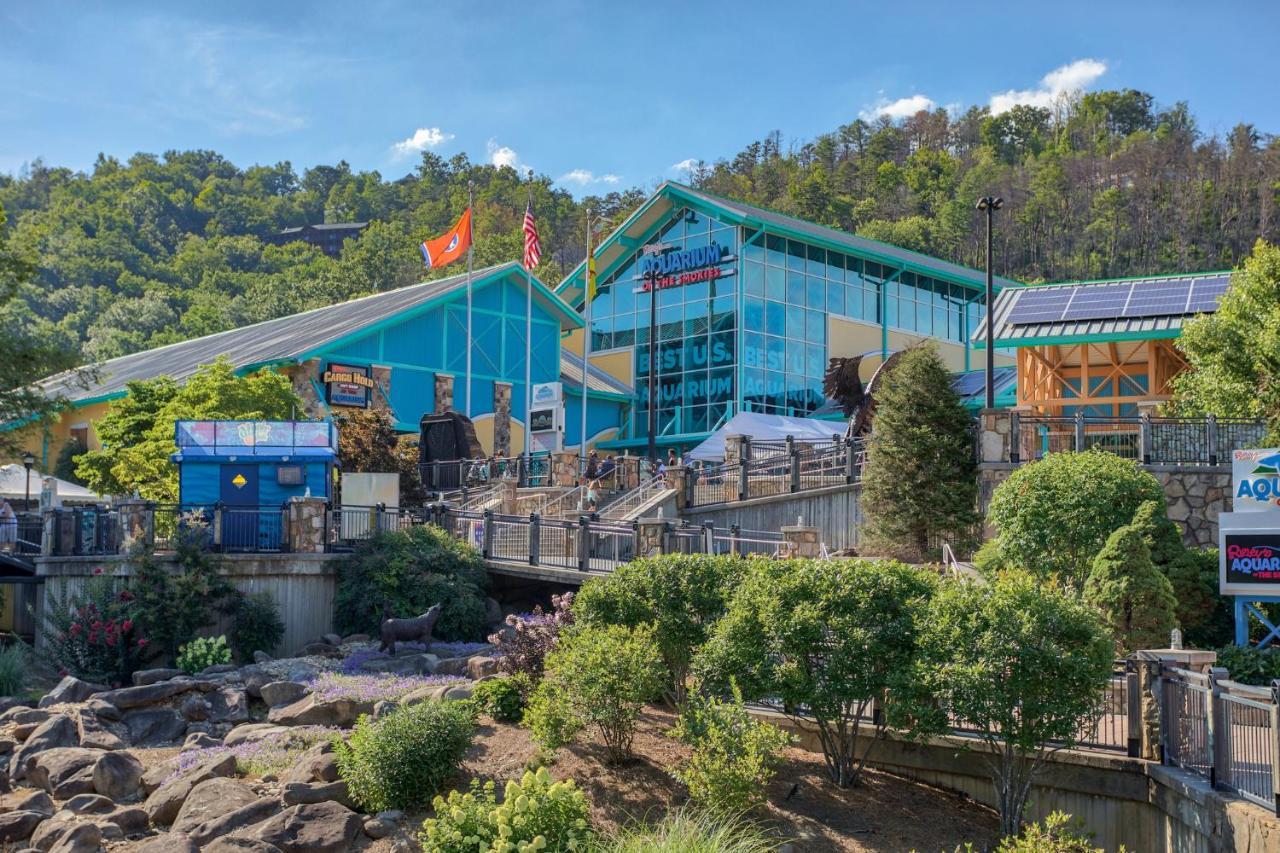 5Bd5B Escape Cabin With 2 Hottubs, Thtr &Game Rm,1Mi To The Parkway! 4Mi To Dollywood - Spring Deal Pigeon Forge Kültér fotó